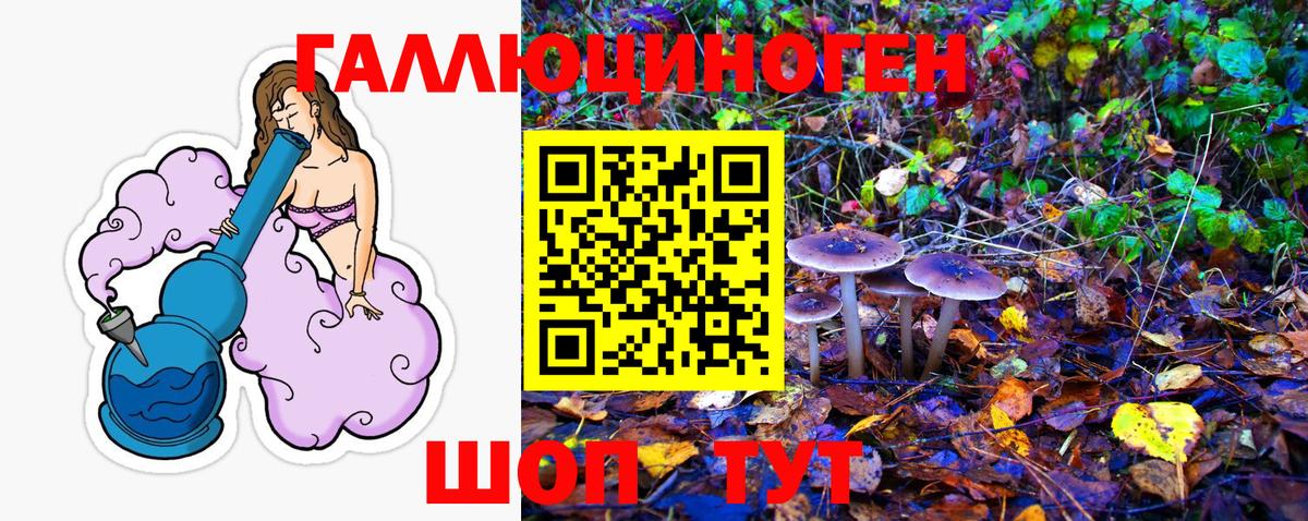 Галлюциногенные грибы Magic Shrooms Новочеркасск
