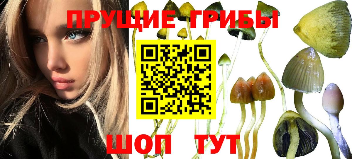 Псилоцибиновые грибы Новочеркасск