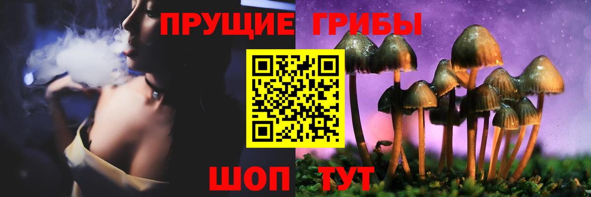 Галлюциногенные грибы мухоморы  Галлюциногенные грибы Psilocybe  Вход с VPN  Новочеркасск 